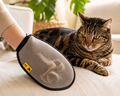 TouchClean